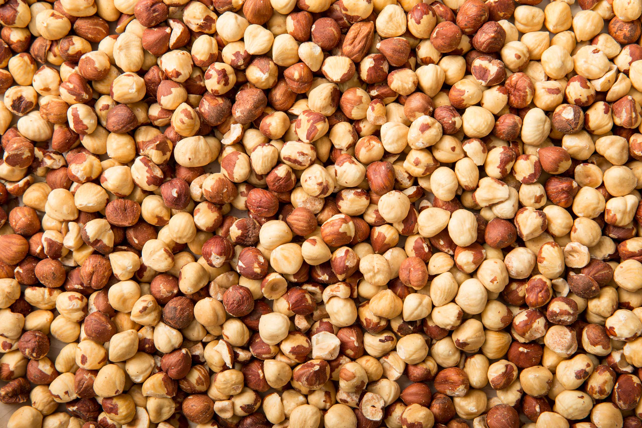 Oregon Hazelnuts Murmur Creative